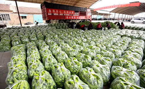 我是湖南長沙蔬菜批發(fā)市場，買多少錢的農藥殘留檢測儀合適？